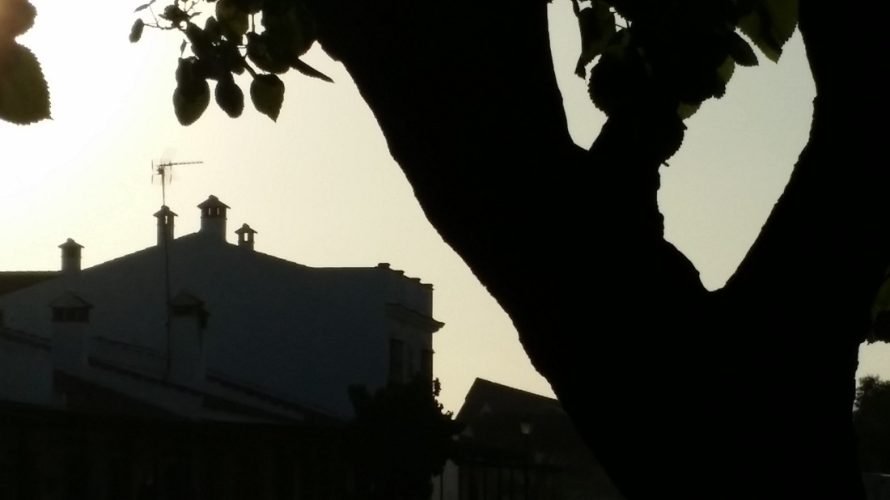 252348_orig